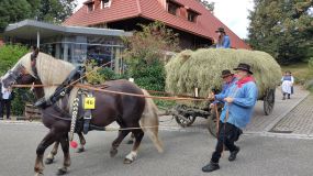 Der große Heuwagen Der große Heuwagen
