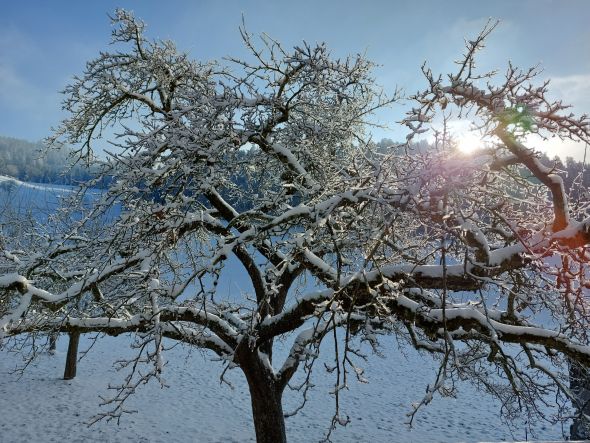 Winterfreuden
